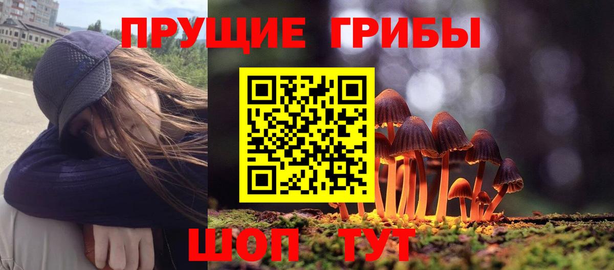 Псилоцибиновые грибы мухоморы  Вход с VPN  Камышин 