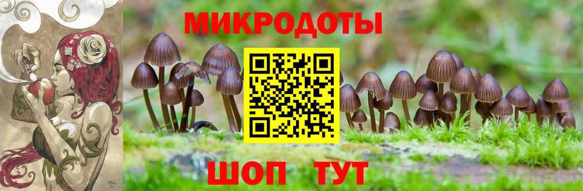 Галлюциногенные грибы GOLDEN TEACHER Камышин